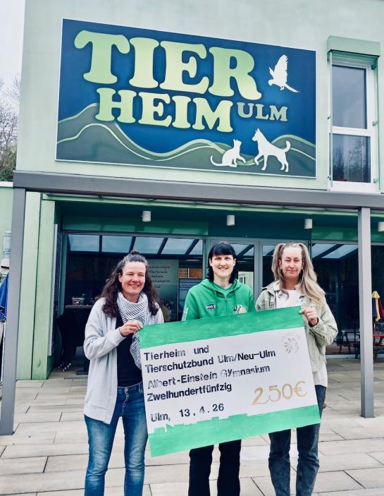 Bericht der Umwelt AG