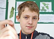 Teambild