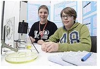 Teambild