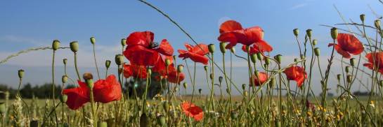 Bei uns steht der Mensch im Mittelpunkt!